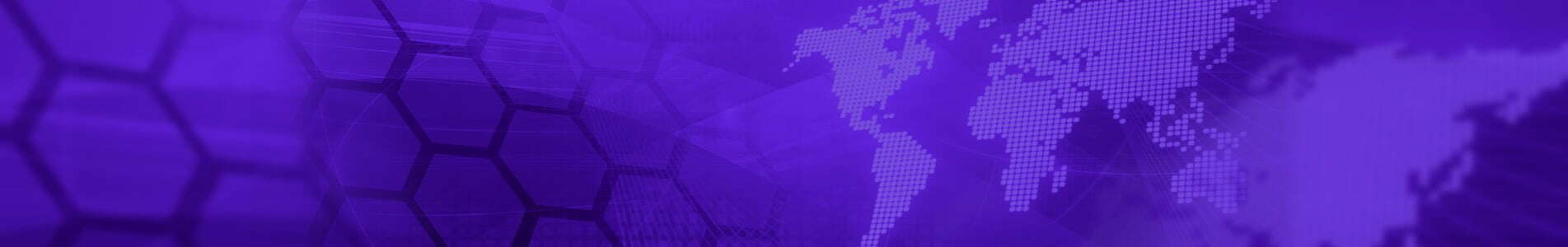 About Us | Forensic Accounting & Global Investigation | SDC CPA