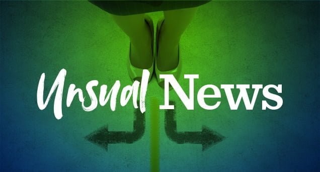 Unusual News Article by SDC CPAs